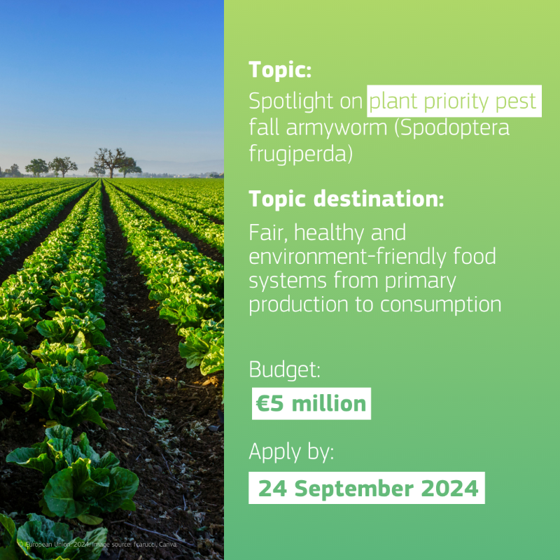 EUgreenresearch's tweet photo. Less than two months left to apply for EU funding for research on sustainable #food systems and fighting #ClimateChange 📢

Check out the open calls for proposals that support the #EUGreenDeal 🌍

Submit your proposal by 24 September.