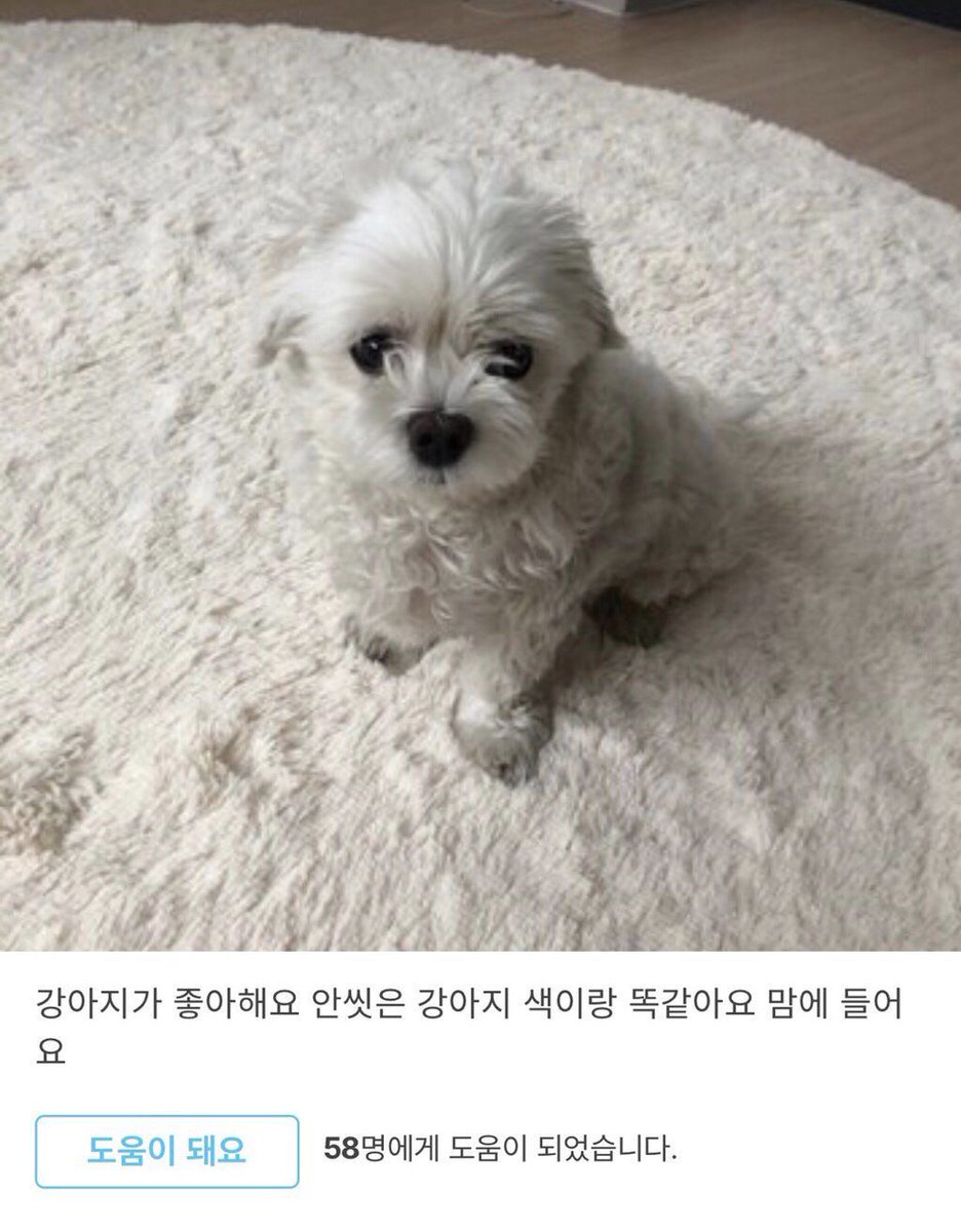 강아지가 좋아해요 안씻은 강아지 색이랑 똑같아요 맘에 들어요