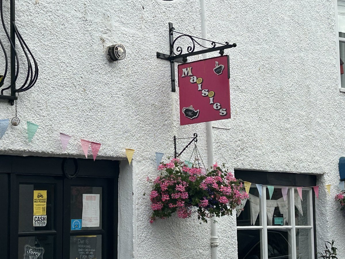 ⁦<a href="/Maysiebug/">Maysie glitter disco bug ♉️🌙✨🪩🐞🇺🇦🇵🇸</a>⁩ -like a tree. Branches everywhere. #totnes
