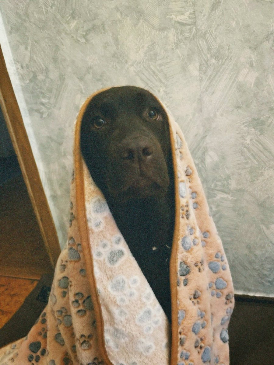 такое утро!!