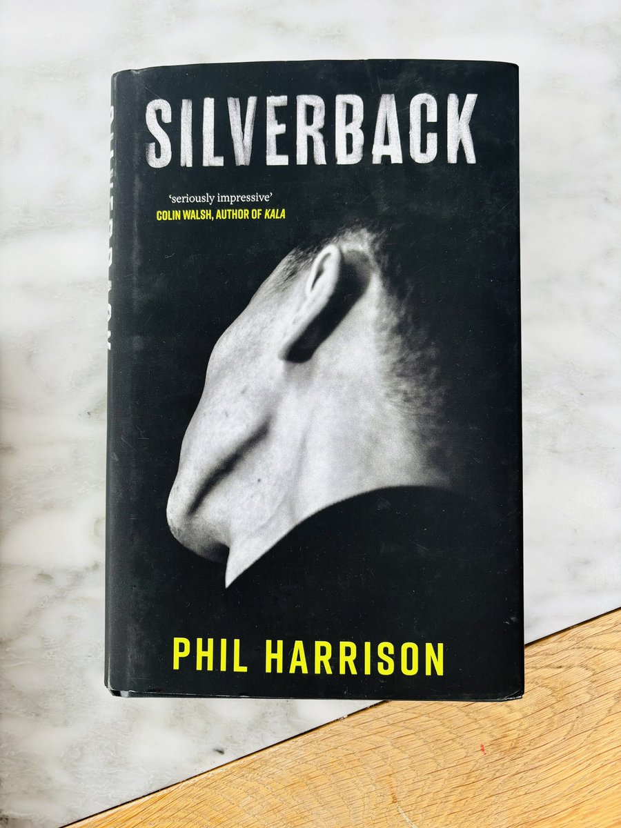 ROForsythe's tweet image. Excited to read this second novel of an old friend.

It’s got great reviews and if it’s as good as his debut #thefirstday then I’ll be very happy! 

Congrats @fillharrison !

👏👏👏🤩🤩🤩