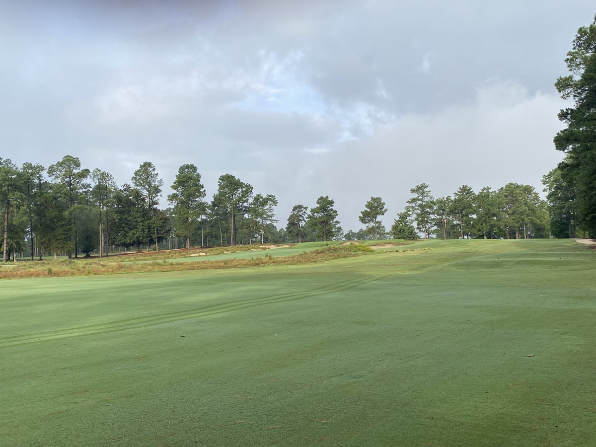 cardsfan0000's tweet photo. My last week working here. I’m really going to miss this place. #IABDIP #Pinehurst2 https://t.co/vmVL9Kvswy