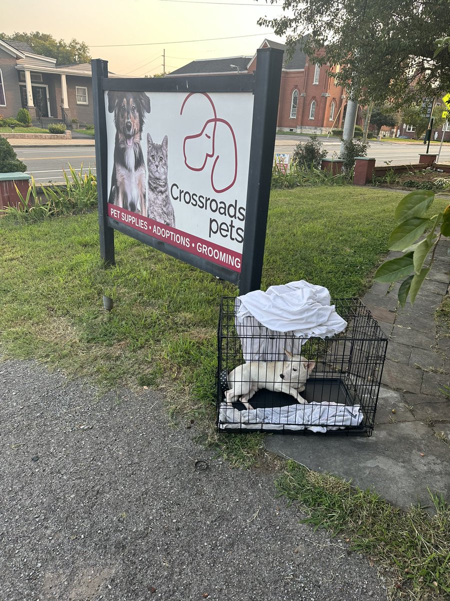 Buck Reising tweet media