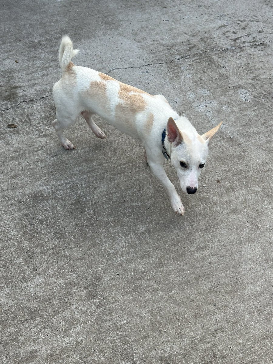 Buck Reising tweet media