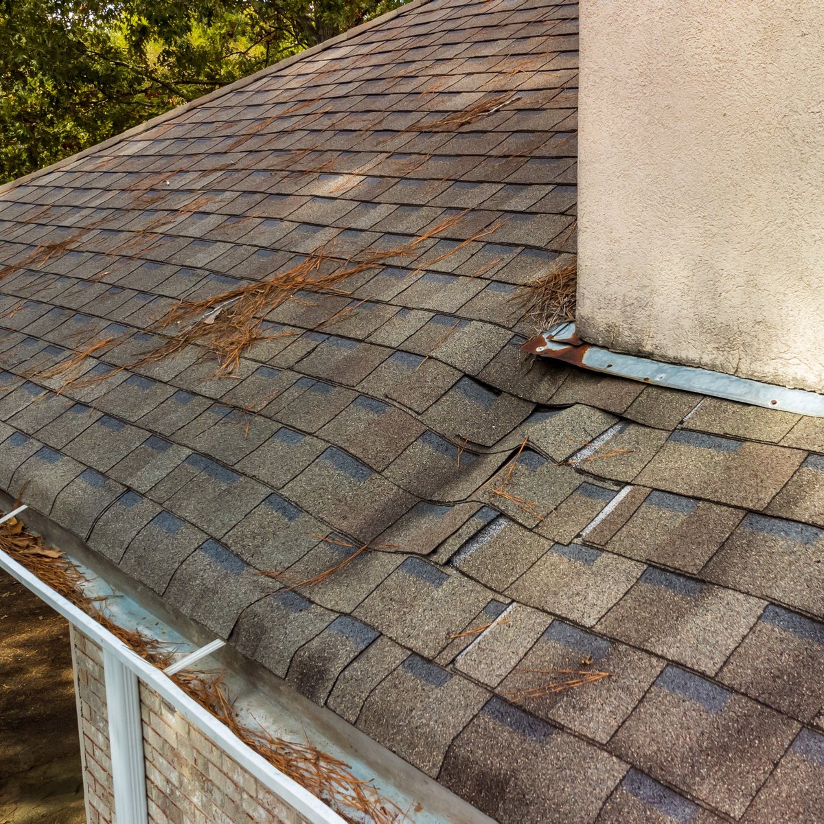 Tadlock Roofing tweet media