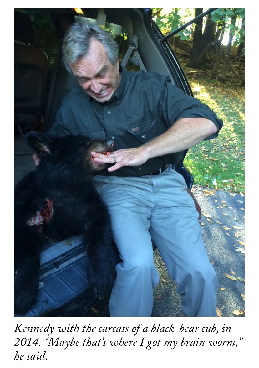 michaelluo's tweet image. .@ClareMalone tells the story of the bear. (And a lot more.) Her profile of RFK Jr. newyorker.com/magazine/2024/…