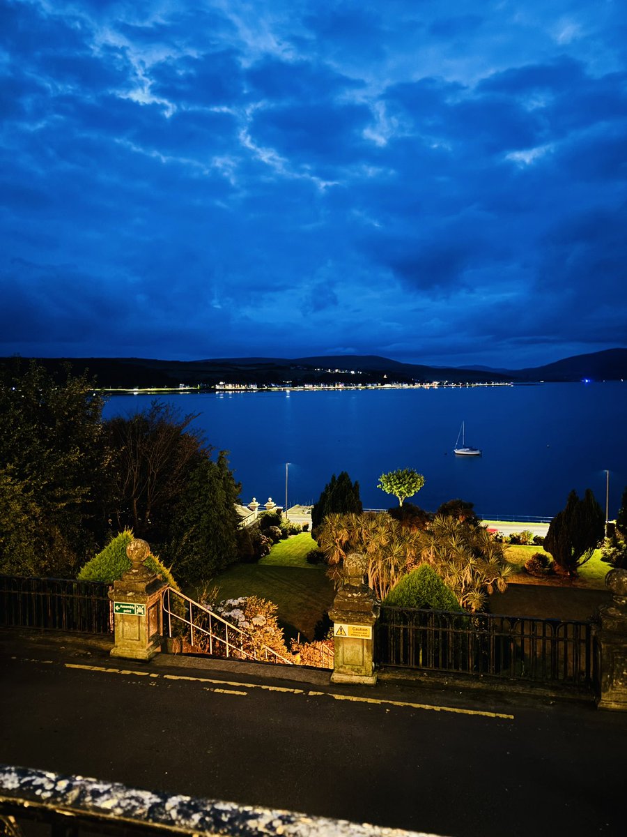 Lisa Gray tweet media