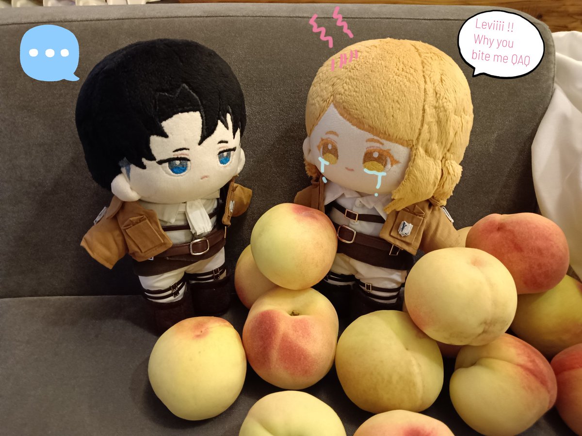 Levi: Not peach... anyway, she is delicious too (⁠눈_눈⁠)👌

#rivetra #リヴァペト #handmadedoll
