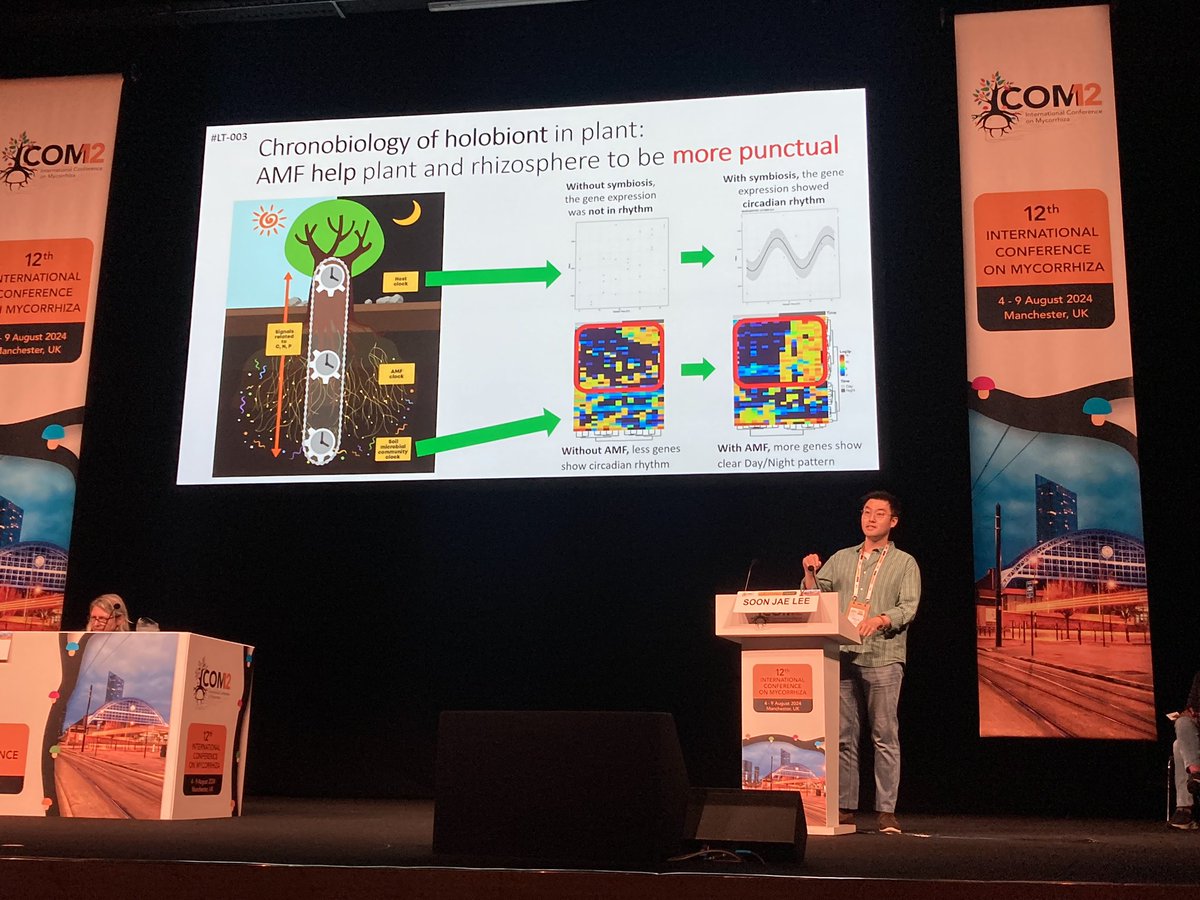 Ian Sanders (@iansanders64) on Twitter photo Soon-Jae Lee from <a href="/unil/">Université de Lausanne</a> demonstrates at #ICOM12 that plants, AM fungi and rhizosphere microbiomes have synchronised circadian clocks and surprisingly even arbuscule formation follows a circadian rhythm. Soon-Jae Lee from <a href="/unil/">Université de Lausanne</a> demonstrates at #ICOM12 that plants, AM fungi and rhizosphere microbiomes have synchronised circadian clocks and surprisingly even arbuscule formation follows a circadian rhythm.