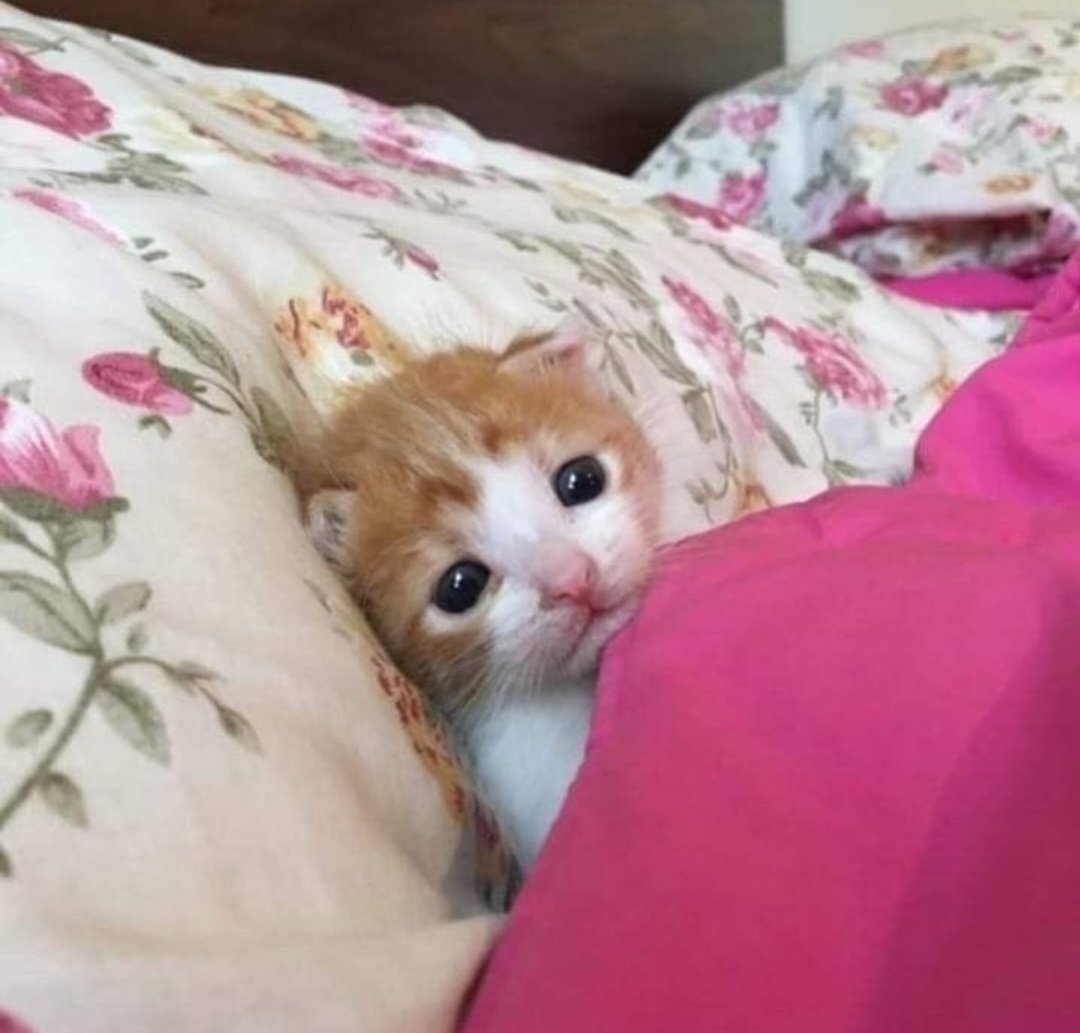 Psişel gelişim gösteremiyorum