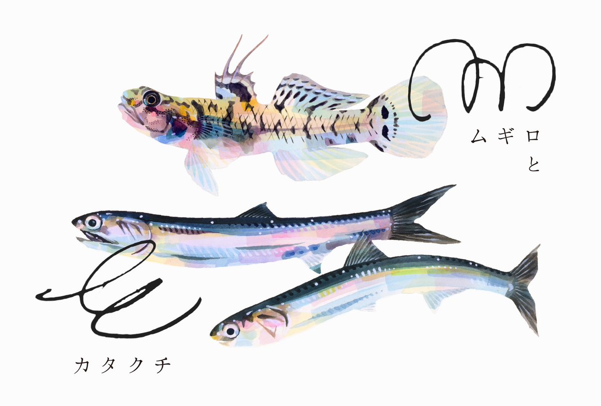 kuroNYU's tweet photo. 個展のご案内です。

「ムギロとカタクチ」

📅2024年8月24日（土）〜9月1日（日）※月・火曜はお休みです
⏰11:00〜18:00
🏛️HATOBA（東京・西荻窪／2022年のbloom展の場所です）

https://t.co/xDhBzt124J

どうぞよろしくお願いいたします！ https://t.co/jQAkBbmq5h