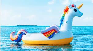 Softweb Resourcing tweet media