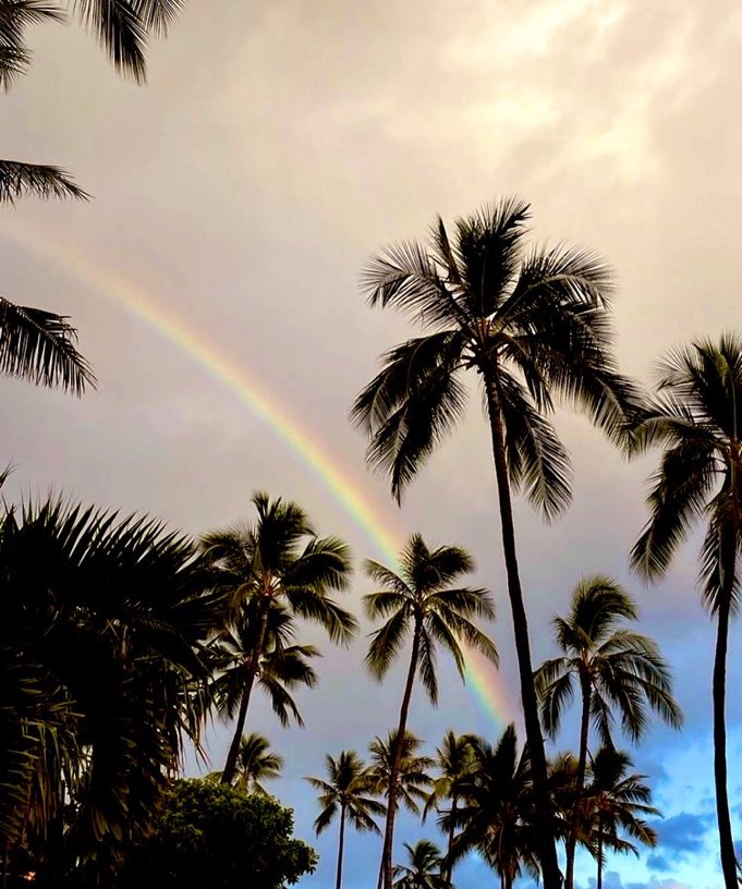 How is your day going guys?