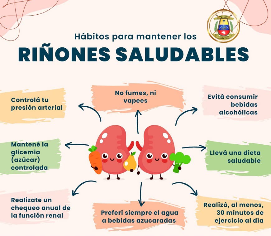 #05AGO||• Tener riñones sanos y en condiciones óptimas es fundamental para el bienestar de las personas. Es importante mantener una vida saludable a través de buenos hábitos que ayuden a la prevención y a la reducción de la frecuencia.