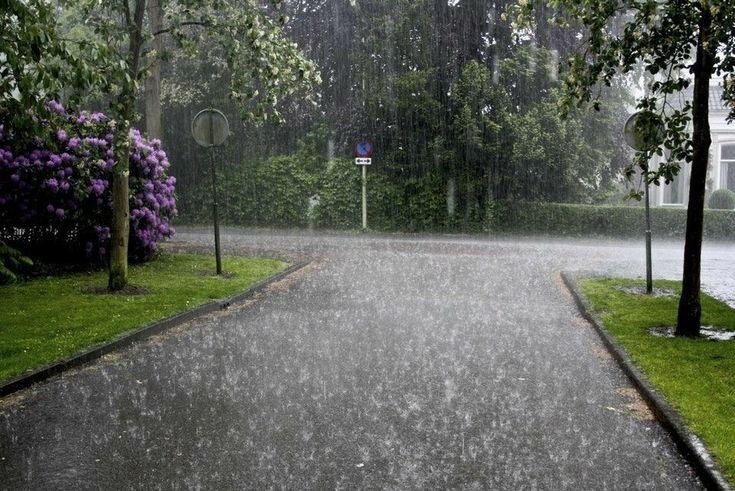 elemmiressoul's tweet photo. the smell of rain. https://t.co/p7mXYvvaC7