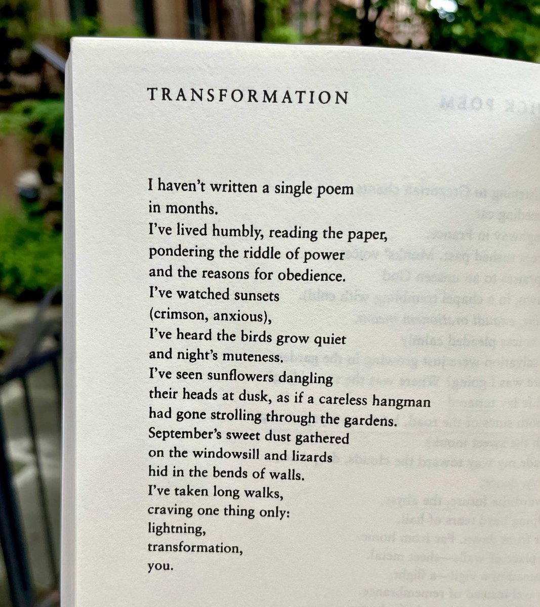 If, like me, you woke up with the ending of this Zagajewski poem in your head