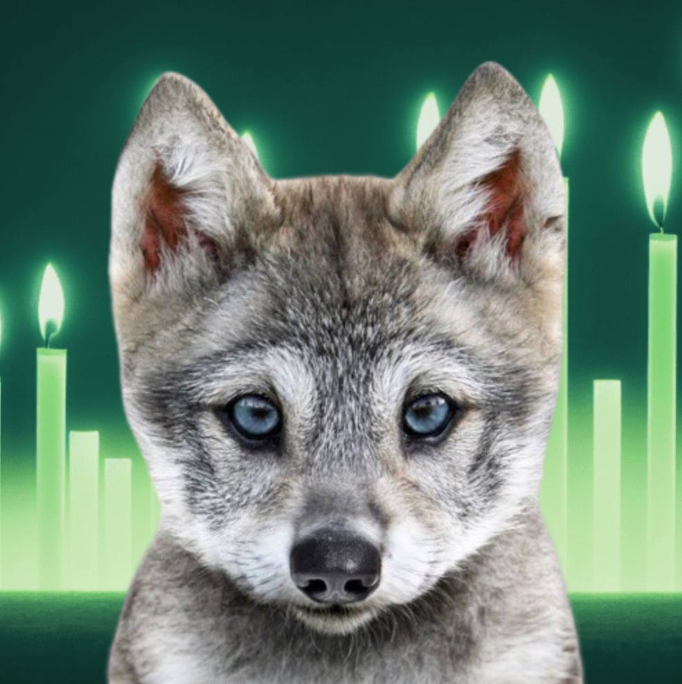 TommmyJAK's tweet photo. @3orovik Same analysis for $Howly, we know you watch the wolf pack 🐺 https://t.co/k5XKSC2v3Y