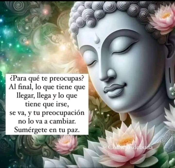 Namaste_Mandala's tweet photo. https://t.co/hYVmkRARhs