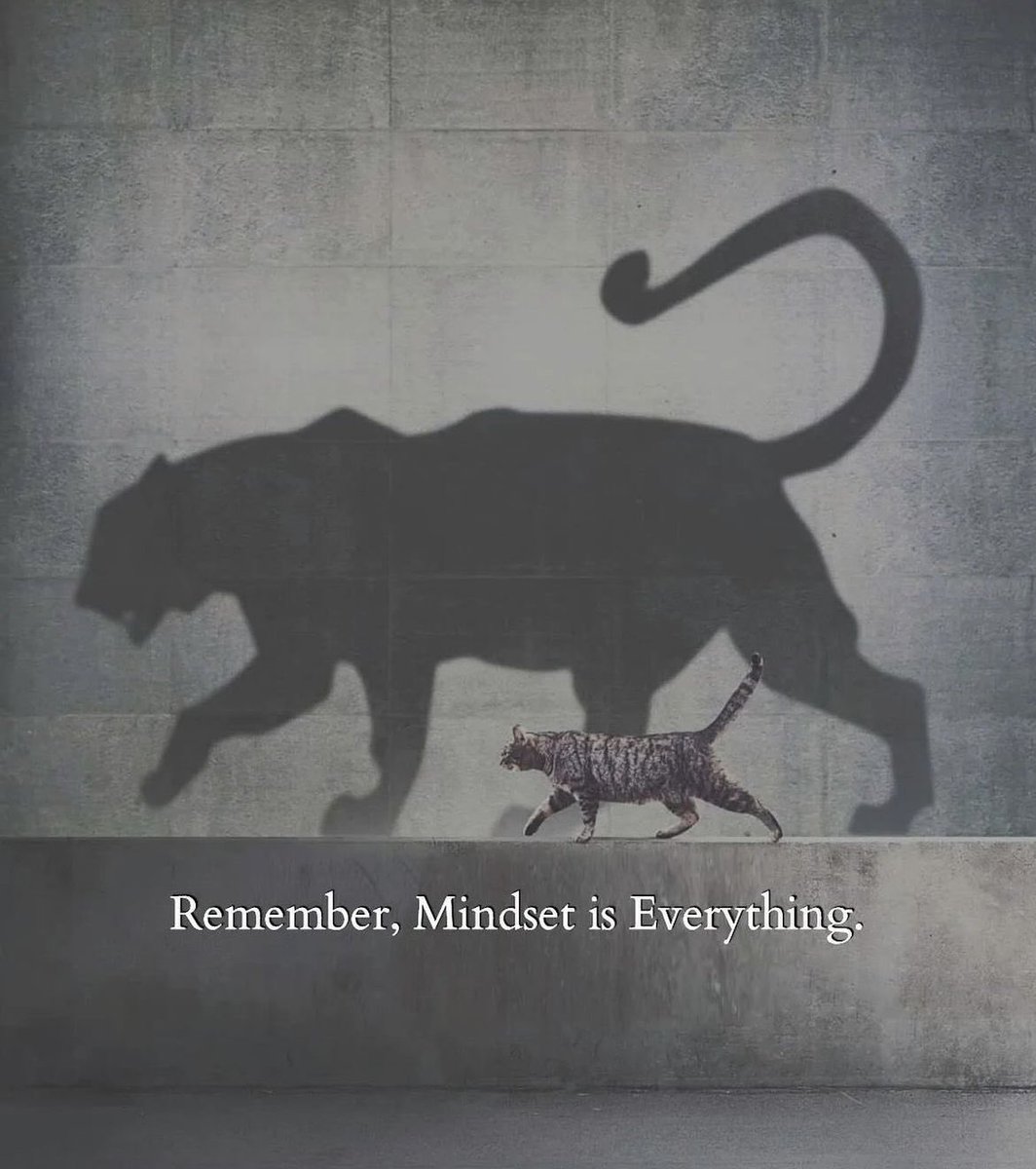 Complex Simplicity (@csinspiredby) on Twitter photo  Complex Simplicity (@csinspiredby) on Twitter photo