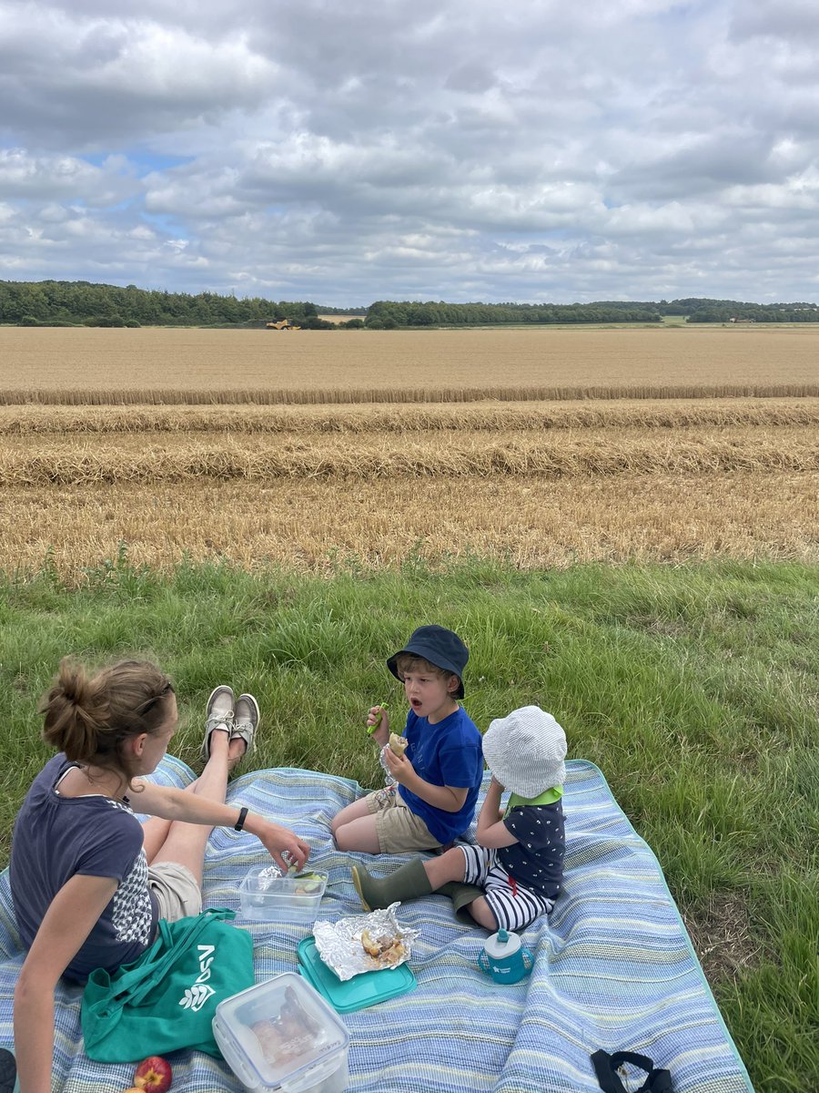 Tom Excell (@tomexcell1) on Twitter photo #harvestlunch in the #holidays cutting a bit of <a href="/DSVUKSEEDS/">DSV United Kingdom</a> #champion making the most of opportunities to get the kids out and enjoying the farm #harvestlunch in the #holidays cutting a bit of <a href="/DSVUKSEEDS/">DSV United Kingdom</a> #champion making the most of opportunities to get the kids out and enjoying the farm