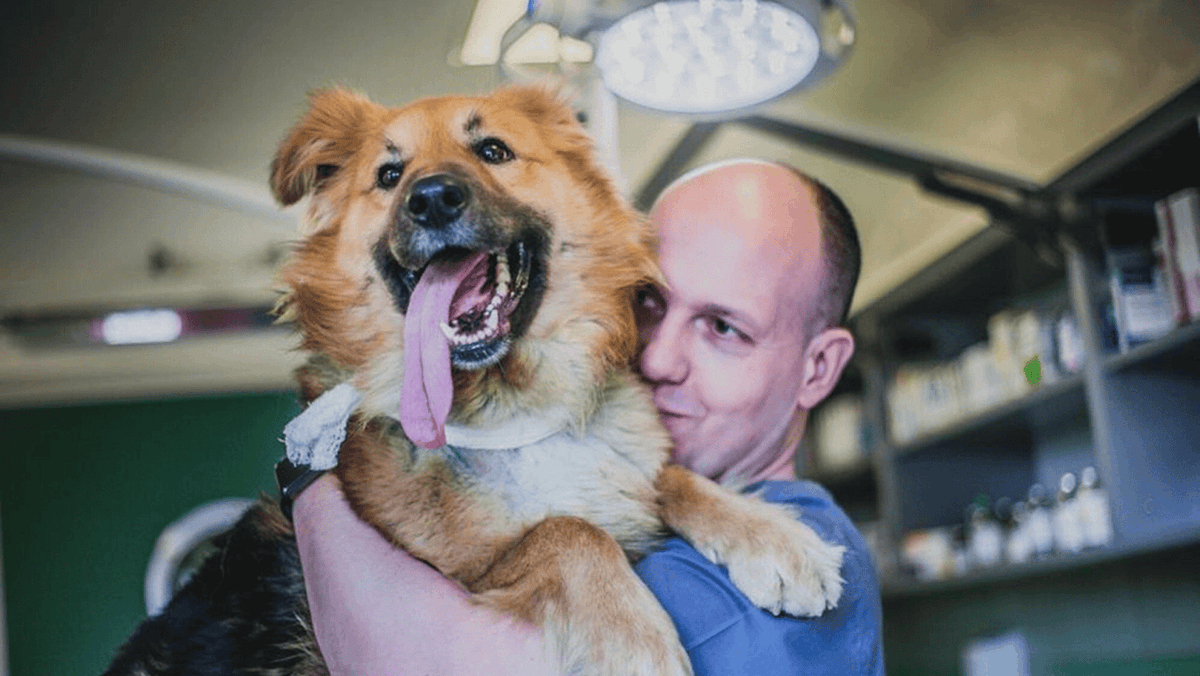 Fundacja "Ada". Bolesny tekst. Zarabianie na krzywdzie/dramacie zwierząt jest podłe i nie powinno mieć miejsca. Fundacja "Ada" daje argumenty osobom, które walczą z wszystkimi aktywistami pomagającymi zwierzętom, a to tym bardziej w opisanej sprawie boli, bo ich krzywdzi i może