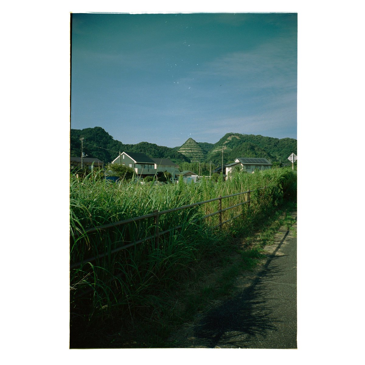 umi_yama_machi's tweet photo. #房総 #鋸南町 #田舎の風景 #フィルムカメラ #filmcamera #contaxrt2 #carlzeiss #kodak #portra400 #filmscan #plustek #silverfast #コイデカメラ #コイデカメラ木更津総合店 #NewTopographics #海と山と街と写真と https://t.co/WM75e33PET