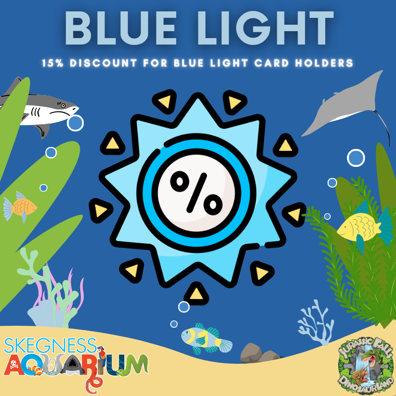 Got a Blue Light card? 🚨

Get 15% off on the door; just show us your card!