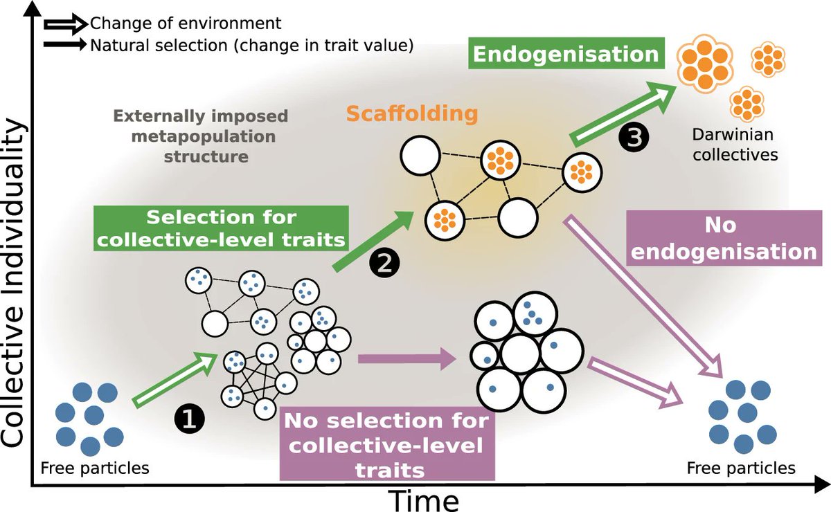 Katrin Hammerschmidt (@hammerschmidt_k) on Twitter photo It was quite a journey, but a lot of fun. Thanks to <a href="/Project_Telos/">PurposeProject</a> for making this interdisciplinary project possible. For more context see: osf.io/preprints/osf/… It was quite a journey, but a lot of fun. Thanks to <a href="/Project_Telos/">PurposeProject</a> for making this interdisciplinary project possible. For more context see: osf.io/preprints/osf/…