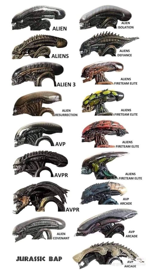 Rainmaker1973's tweet photo. Types of xenomorphs

[✏️ jurassic_bap] https://t.co/wQAa1i32XT