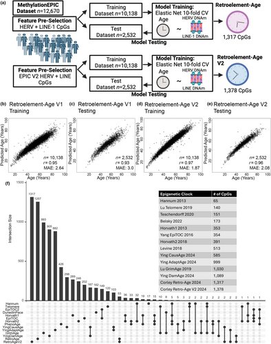 The study shows that #retroelement #DNA #methylation can create precise age-predicting #epigenetic clocks and reveals their unique signals and utility in aging research. 
By <a href="/mlbendall/">matthew bendall - mlbendall.bsky.social</a>, <a href="/VarunDw/">Varun Dwaraka, Ph.D.</a>, Lishomwa C. Ndhlovu, et al.
doi.org/10.1111/acel.1…