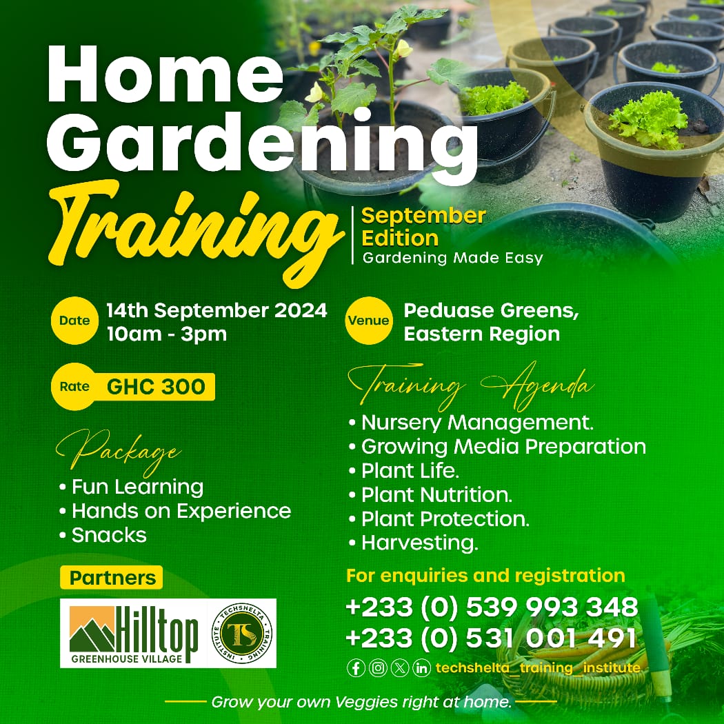 TechsheltaI's tweet image. Grow your own veggies and herbs by mastering effective home Gardening skills with our comprehensive training program.

Join the SEPTEMBER EDITION of our training and start your journey to a more greener and sustainable future.

Kindly register here: forms.gle/Bcrx1TgiDrSeDa…