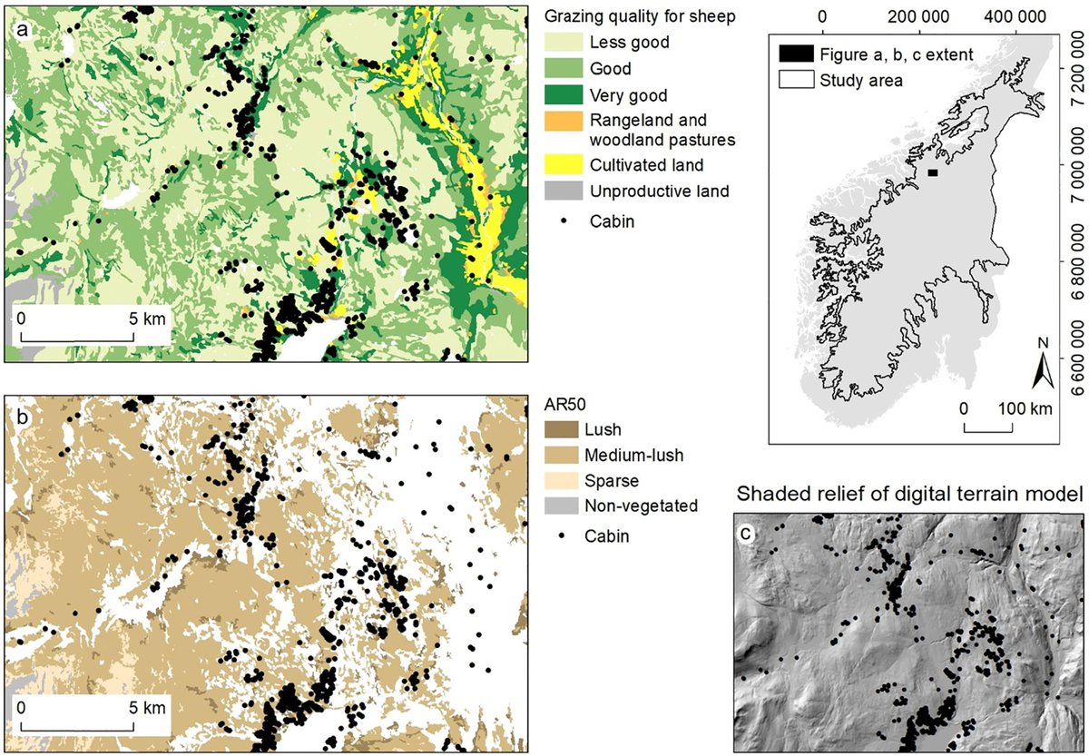 Vår nye artikkel  konflikt mellom hytteutbygginger og beiteressurser.

Et stort antall hytter og infrastruktur innenfor høykvalitets beiteområder indikerer at beitekvaliteten ikke har blitt tilstrekkelig vurdert ved plassering av nye hytter.
Les mer her:
doi.org/10.1016/j.cate…