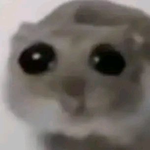 GattoErick's tweet photo. Chale, one of my favorite artists blocked me and I didn't know why https://t.co/Uu1ZduTMHX
