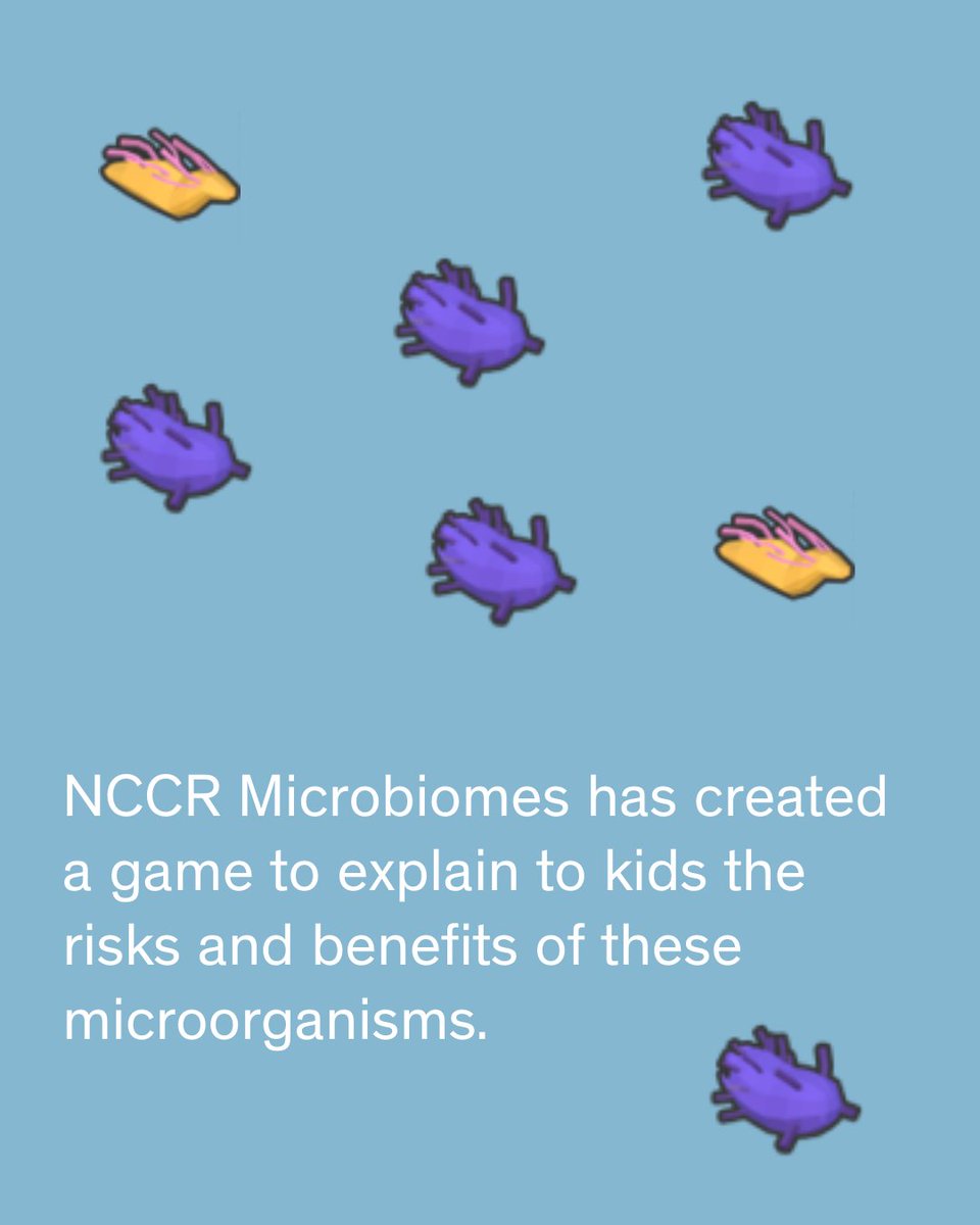 Swiss National Science Foundation (@snsf_ch) on Twitter photo A better understanding of microbes: <a href="/NCCRMicrobiomes/">NCCR Microbiomes</a> has received one of the SNSFâs #LighthouseAwards đ for its efforts to raise awareness and promote scientific communication. To teach children about microbes, it has created a video game. A better understanding of microbes: <a href="/NCCRMicrobiomes/">NCCR Microbiomes</a> has received one of the SNSFâs #LighthouseAwards đ for its efforts to raise awareness and promote scientific communication. To teach children about microbes, it has created a video game.