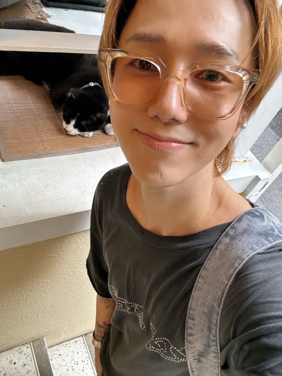 shfly3424's tweet photo. 코코야 건강해 ~ 😽 https://t.co/c4LzxMnOYh