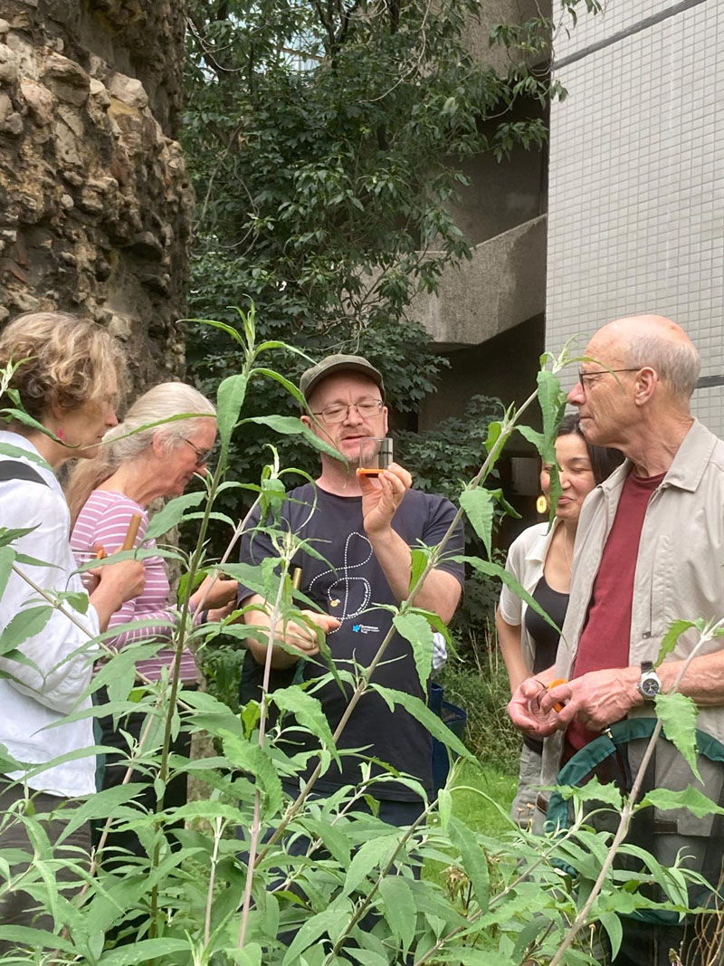 FCityGardens's tweet photo. Huge thank you to Simon @BumblebeeTrust for a brilliant Workshop for volunteers #RewildLondon
@ldn_environment @WildLondon @BunhillHeritage
@cityoflondon https://t.co/KEVm2uHtTT