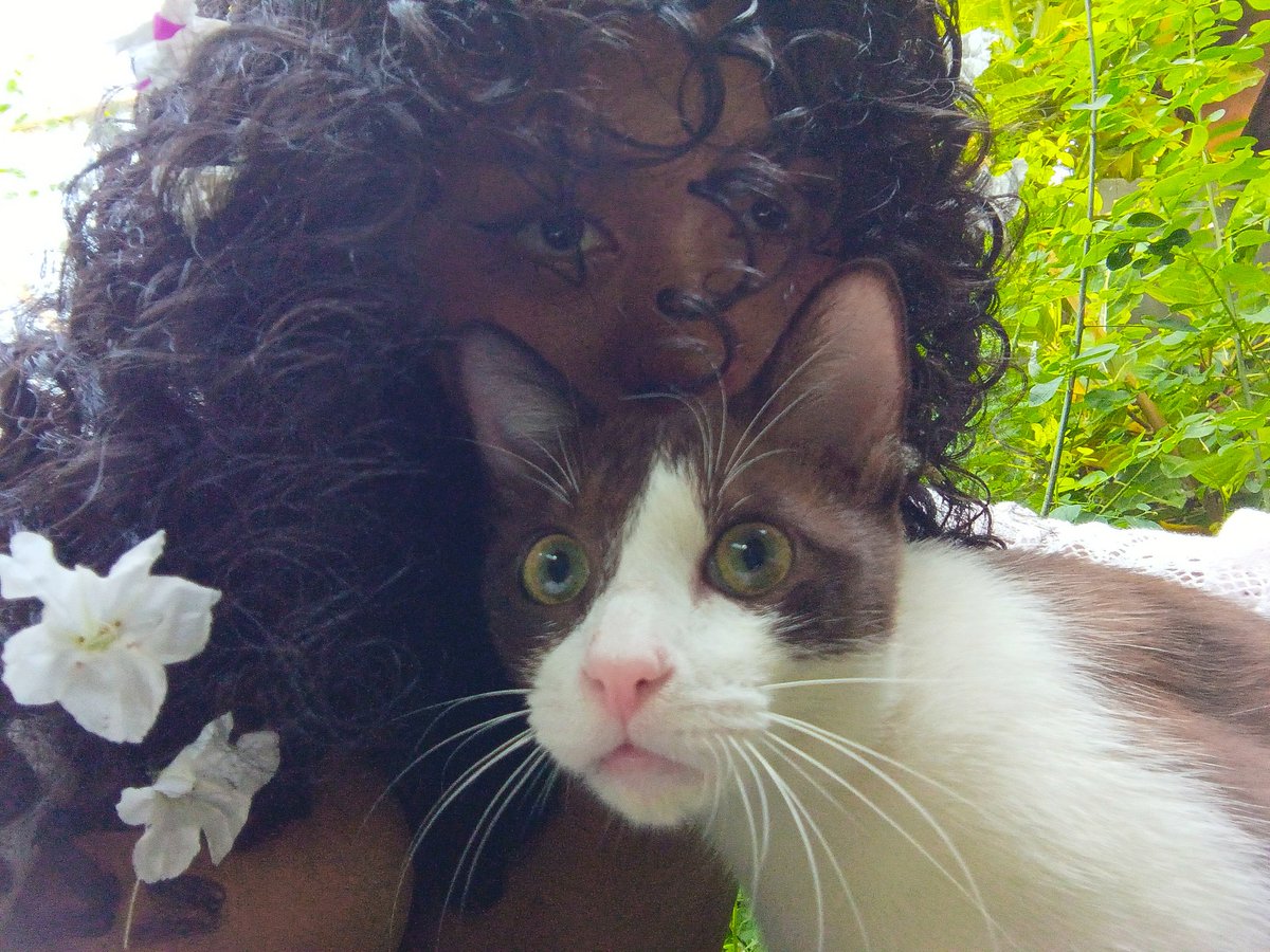 🍄‍🟫 shur tweet media