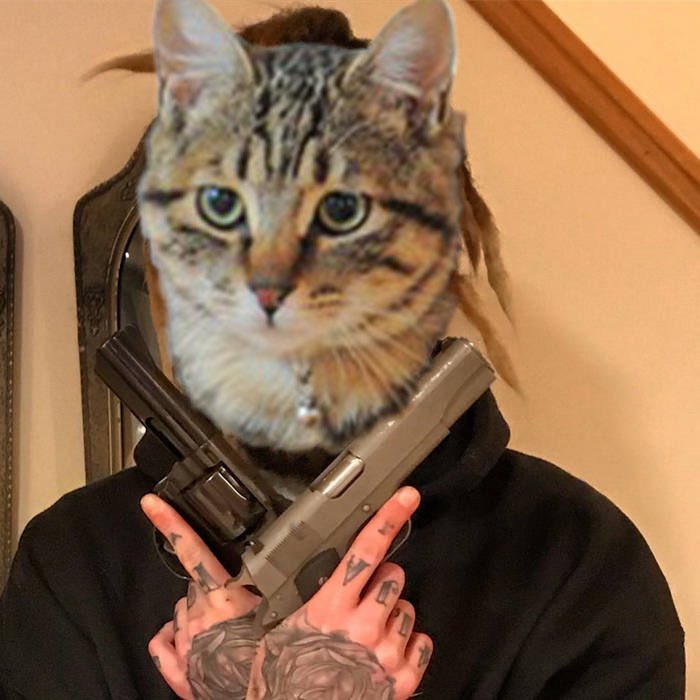 Web3Pennytrader's tweet photo. @The__Solstice Buy the fucking cat https://t.co/BpiXrbd6ku