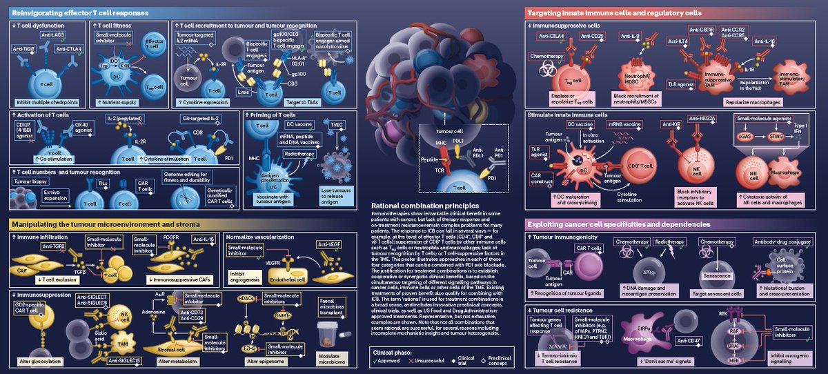 In case you missed it...

Our latest poster (in collaboration with <a href="/NatRevImmunol/">Nature Rev Immunol</a>), from <a href="/d_peeper/">Daniel Peeper</a> &amp; Daniela Thommen, explores how to boost anti-tumour immunity by combining #PD1 axis blockade with other cancer therapies. 

Check it out now! go.nature.com/3WLcCh5