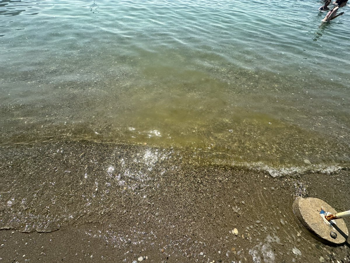 Birilerinin yaşadığı şaşalı tekne hayatı sahilde denize girmemize nasıl engel olabilir diye merak edenleri Ören’e davet ediyoruz. Suyu ayrı kirli , denizi ayrı! Ve herkes üç maymunu oynuyor. Sahil güvenliğin hiç mi yaptırımı yok. <a href="/sahilguvkom/">T.C. Sahil Güvenlik Komutanlığı</a> <a href="/idrisakbiyik/">Dr. İdris AKBIYIK</a> <a href="/fevzitopuzz/">Fevzi Topuz</a> <a href="/muglabsb/">Muğla Büyükşehir Belediyesi</a>