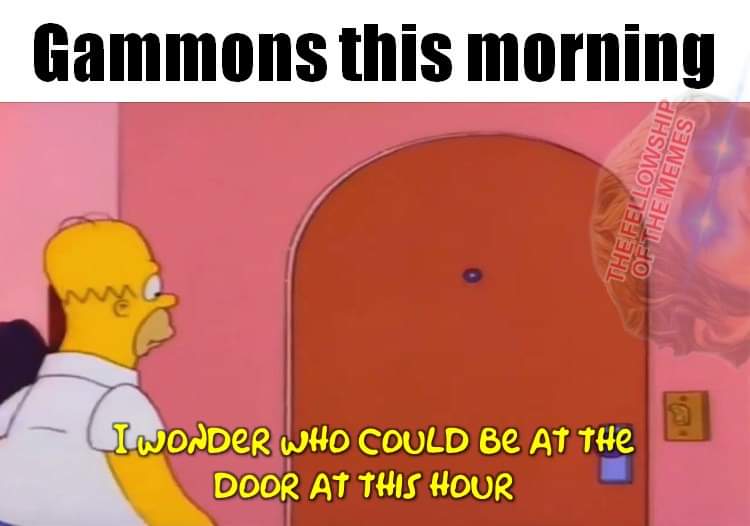 🤔🤣🤣 Morning scamps 🫠🫡