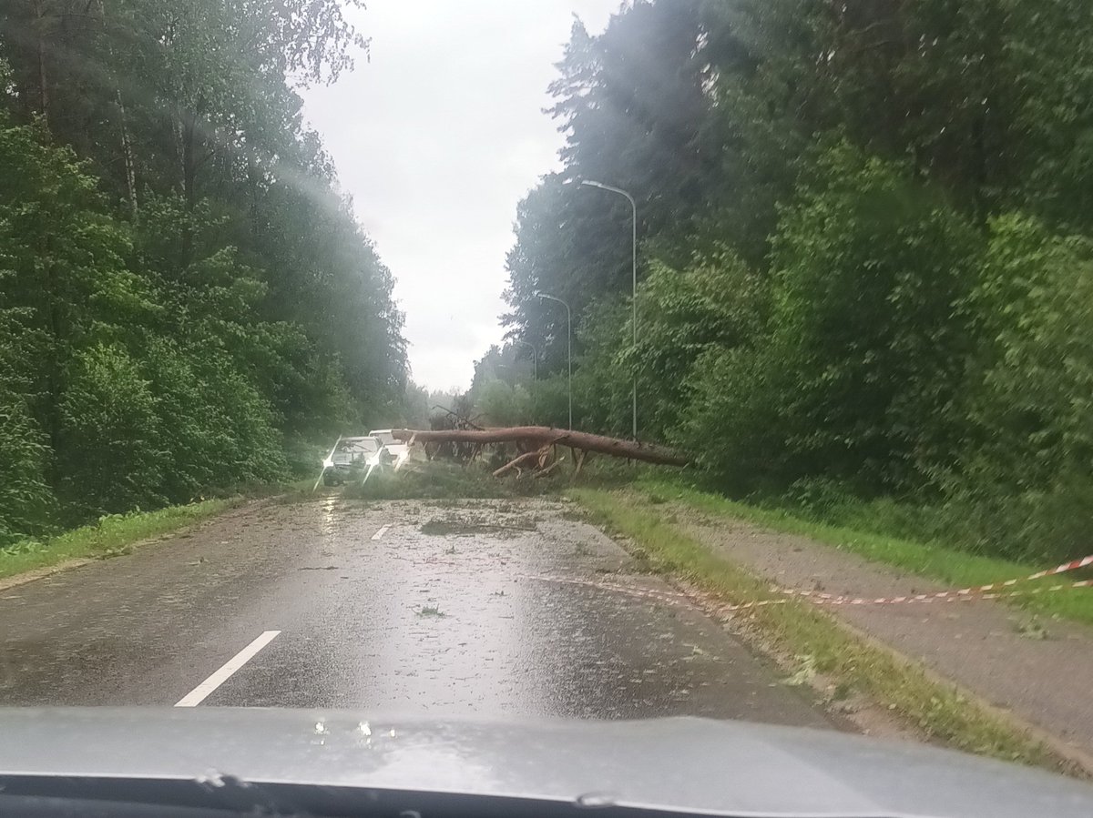 Jacob I Griffith tweet media