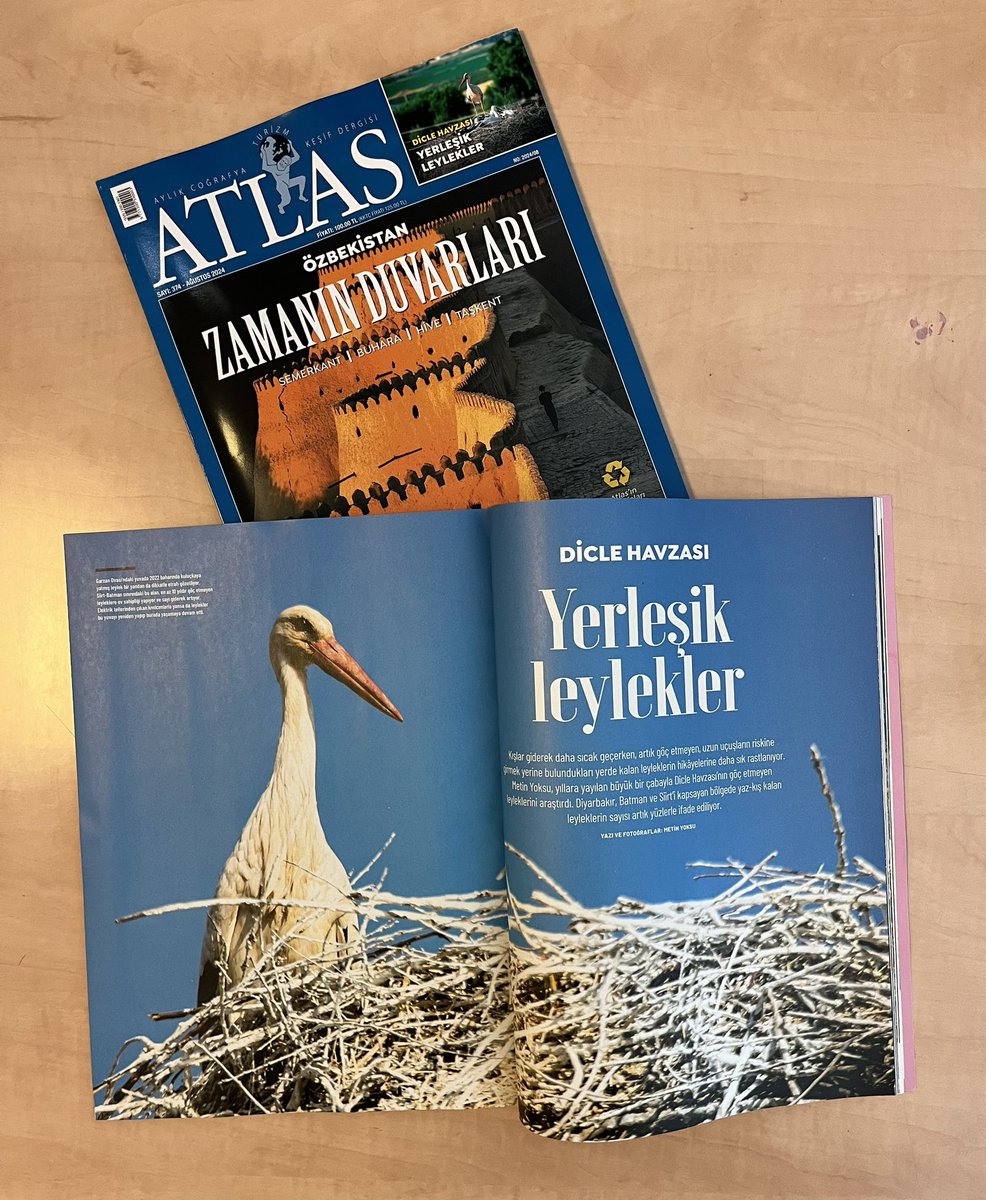 Atlas’ta bu ay Dicle Havzası’nın yerleşik leylekleri var. Kış aylarının giderek daha sıcak geçmesi sebebiyle bölgede göç defterini kapatan leyleklerin sayısı yüzlere ulaştı. <a href="/metinyoksu/">metinyoksu</a>, yıllar boyunca aradı, taradı, görüntüledi ve sonuçları <a href="/AtlasDergisi/">Atlas Dergisi</a> için yazdı. 🙏