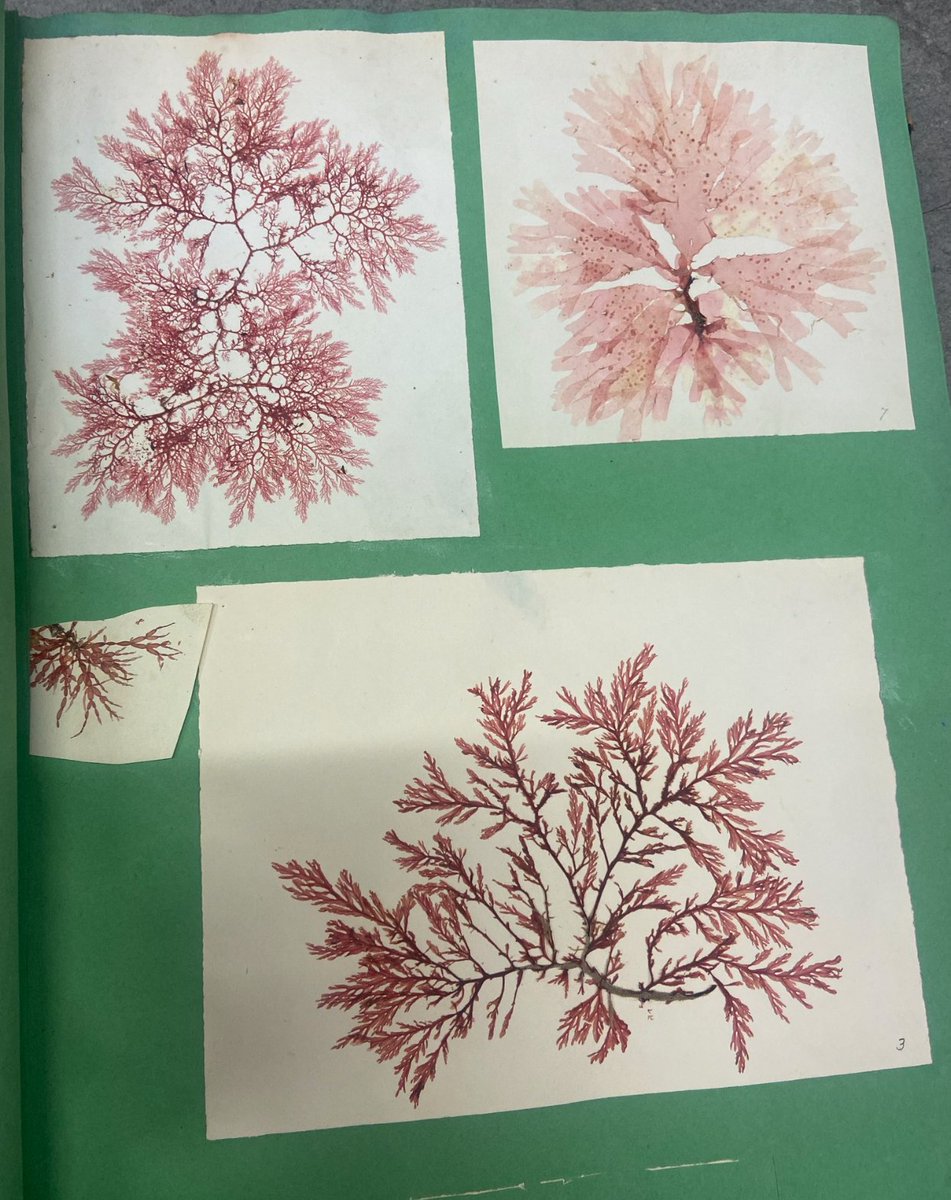 Siobhan McDonald (@siomcdonald) on Twitter photo Studio visit with curator Blanca de la Torre <a href="/TCD_NatSci/">School of Natural Sciences, Trinity College Dublin</a> Thrilled to be selected by IRELAND INVITES Curator Series with Blanca de la Torre and The Hugh Lane Gallery <a href="/TERRAFORM_H2020/">TERRAFORM</a> <a href="/artscouncil_ie/">The Arts Council / An Chomhairle Ealaíon</a> <a href="/IMMAIreland/">IMMA</a> <a href="/TheHughLane/">Hugh Lane Gallery</a> <a href="/TCD_NatSci/">School of Natural Sciences, Trinity College Dublin</a> Studio visit with curator Blanca de la Torre <a href="/TCD_NatSci/">School of Natural Sciences, Trinity College Dublin</a> Thrilled to be selected by IRELAND INVITES Curator Series with Blanca de la Torre and The Hugh Lane Gallery <a href="/TERRAFORM_H2020/">TERRAFORM</a> <a href="/artscouncil_ie/">The Arts Council / An Chomhairle Ealaíon</a> <a href="/IMMAIreland/">IMMA</a> <a href="/TheHughLane/">Hugh Lane Gallery</a> <a href="/TCD_NatSci/">School of Natural Sciences, Trinity College Dublin</a>