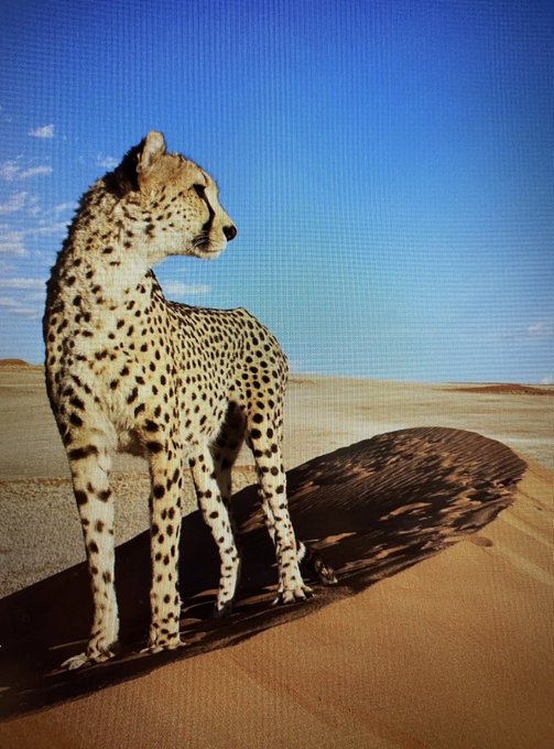 ekranıma &ccedil;ita gelmişşşşşşşş https://t.co/uXwdREAgBn<a href="/tag/yeniprofilresmi"class="tags"><span>#yeniprofilresmi</span></a>