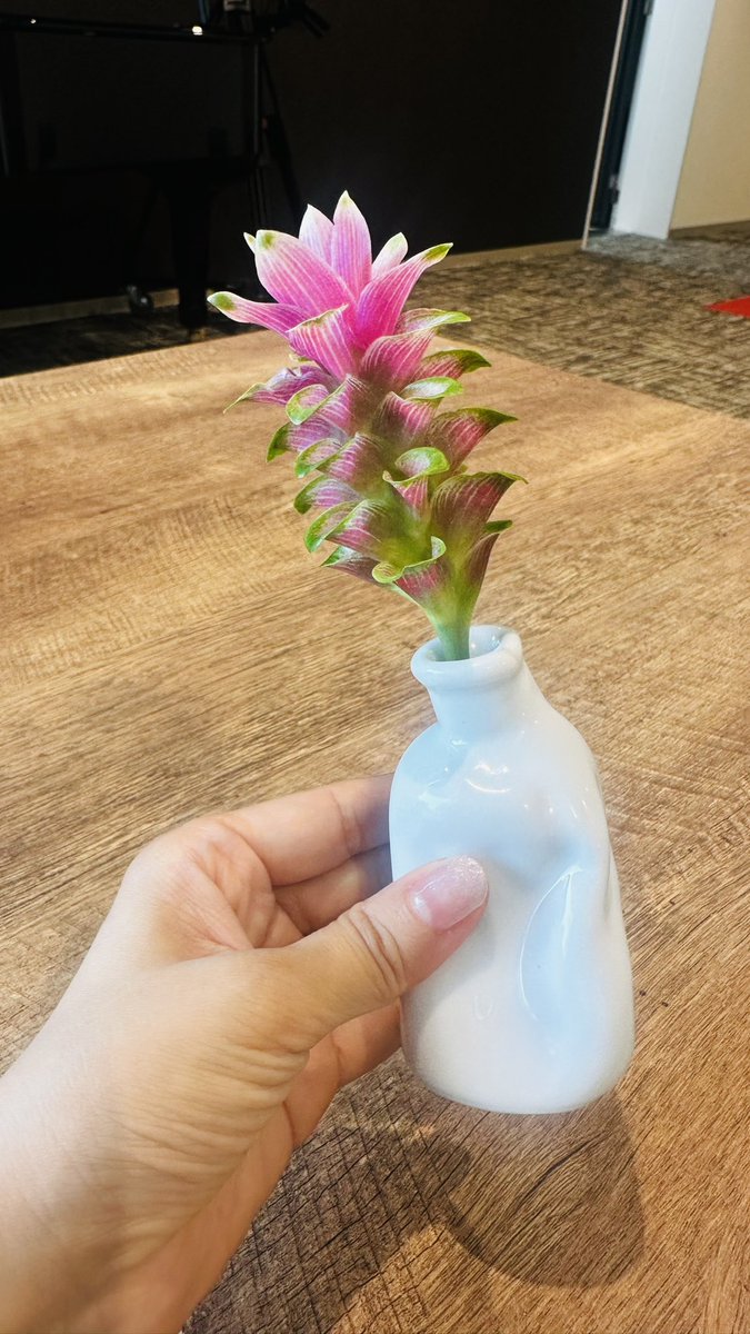 maedamari's tweet photo. これから生放送^_^

#nbcrd NBCラジオ📻
#オノウエベース #祈りの花瓶  #長崎 

18時から 長崎出身のデザイナー　
毎熊さんに生出演いただきます🎙️

ＯＮＯＵＥ ＢＡＳＥ NBCラジオ 2024/8/5(月) 17:15-18:20 https://t.co/Kndzu7eCf5 #radiko #シェアラジコ

@vtp_project 
@pwgallery_nagasaki https://t.co/mDYvO15pRF