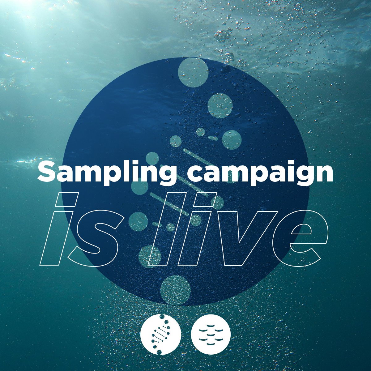 EMBRC (European Marine Biological Resource Centre) (@embrc_eu) on Twitter photo #EMOBON I Sampling Ocean’s #DNA 🧬
Did you plan to participate in our 4th sampling campaign? Don’t forget to ☝️
💡Keep complete metadata records
💡Update spreadsheets ASAP
💡Share pics & videos on social media 📸
#OceanObservation #Collaboration
<a href="/OBON_Ocean/">Ocean Biomolecular Observing Network (OBON)</a> #EMOBON I Sampling Ocean’s #DNA 🧬
Did you plan to participate in our 4th sampling campaign? Don’t forget to ☝️
💡Keep complete metadata records
💡Update spreadsheets ASAP
💡Share pics & videos on social media 📸
#OceanObservation #Collaboration
<a href="/OBON_Ocean/">Ocean Biomolecular Observing Network (OBON)</a>