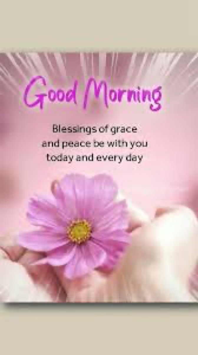 Good morning ☀️ guys!