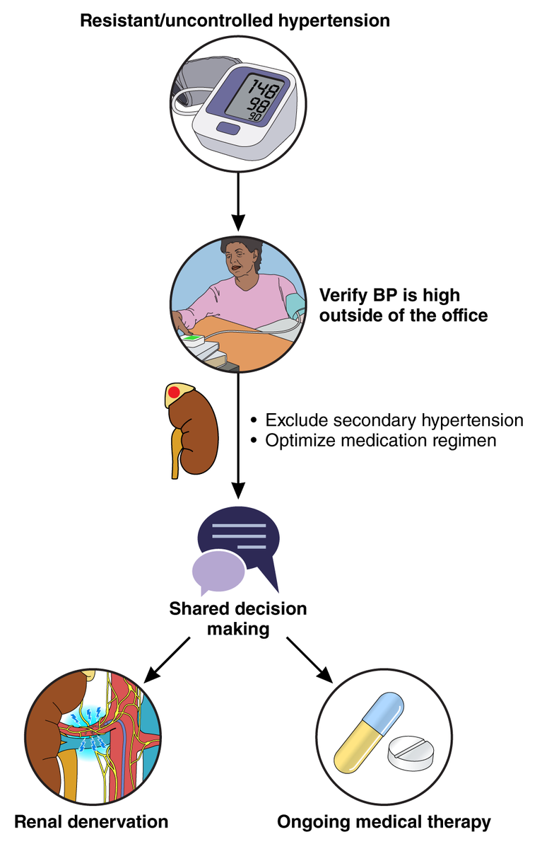 AHA Science (@ahascience) on Twitter photo 🆕: Renal Denervation for the Treatment of Hypertension: A Scientific Statement from AHA
📷 Steps to identify potential candidates for renal denervation
✍🏽 <a href="/kcferdmd/">Keith C. Ferdinand, MD, FACC, FAHA, FNLA</a> <a href="/CarlosMenaYale/">Carlos Mena</a> <a href="/DrWanpen/">Wanpen Vongpatanasin</a> <a href="/OliviaBlazek/">Olivia Blazek, MD</a> <a href="/hurryknee/">Harini Sarathy</a> <a href="/AngelaBrownMD/">Angela B</a> <a href="/jenniferlcluett/">Jennifer Cluett, MD</a> <a href="/Mu_AHAscience/">Mu Huang, PhD, DPT</a> <a href="/K_SheehanPhD/">Katherine Sheehan, PhD</a> 🆕: Renal Denervation for the Treatment of Hypertension: A Scientific Statement from AHA
📷 Steps to identify potential candidates for renal denervation
✍🏽 <a href="/kcferdmd/">Keith C. Ferdinand, MD, FACC, FAHA, FNLA</a> <a href="/CarlosMenaYale/">Carlos Mena</a> <a href="/DrWanpen/">Wanpen Vongpatanasin</a> <a href="/OliviaBlazek/">Olivia Blazek, MD</a> <a href="/hurryknee/">Harini Sarathy</a> <a href="/AngelaBrownMD/">Angela B</a> <a href="/jenniferlcluett/">Jennifer Cluett, MD</a> <a href="/Mu_AHAscience/">Mu Huang, PhD, DPT</a> <a href="/K_SheehanPhD/">Katherine Sheehan, PhD</a>