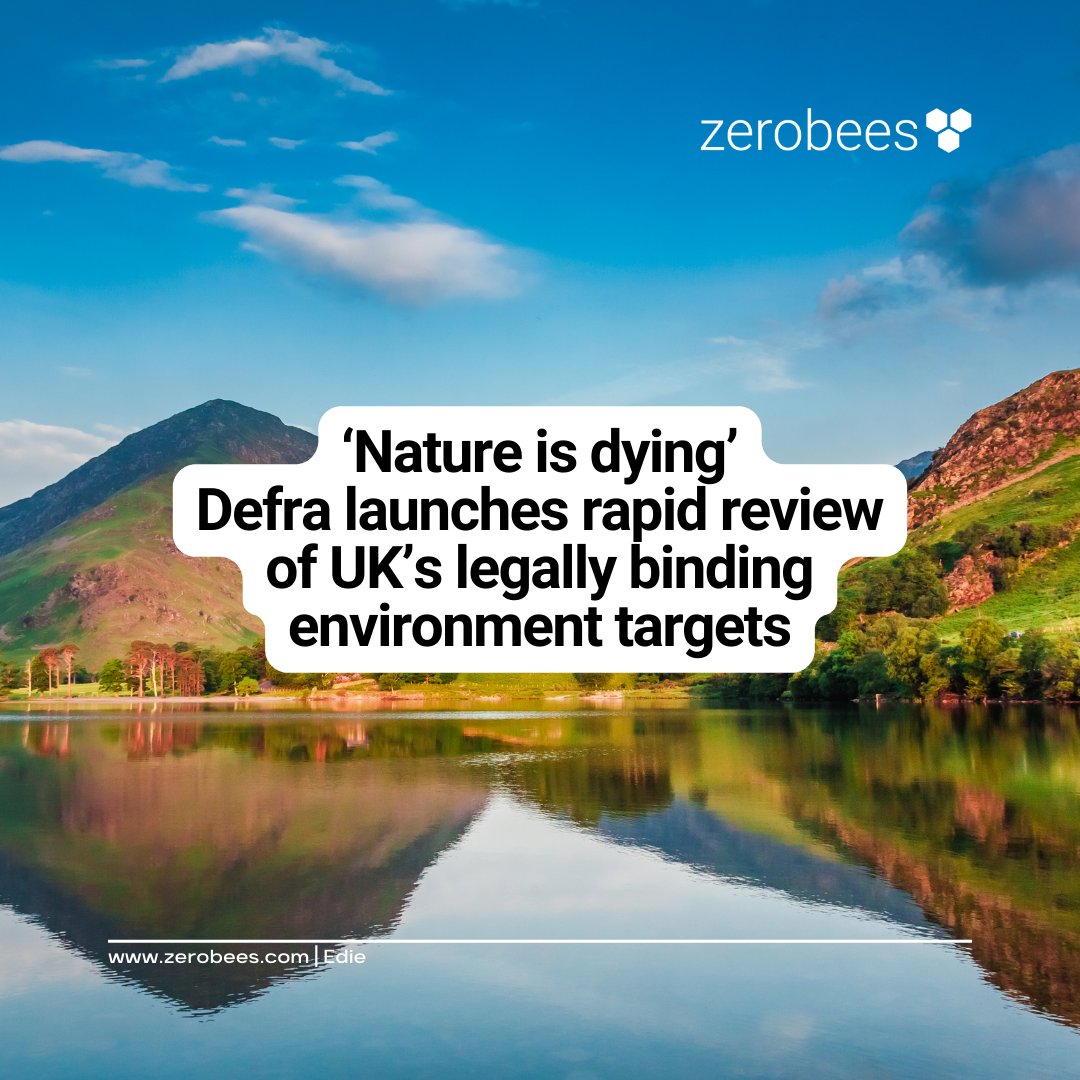 Zerobees tweet media